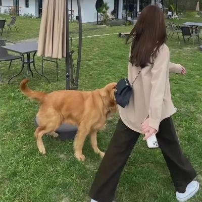 情义我心知粤语